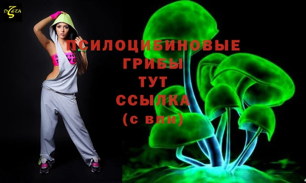 дмт Белокуриха