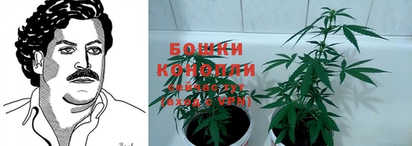 крисы Беломорск