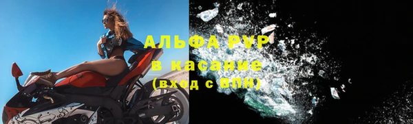 дмт Белокуриха