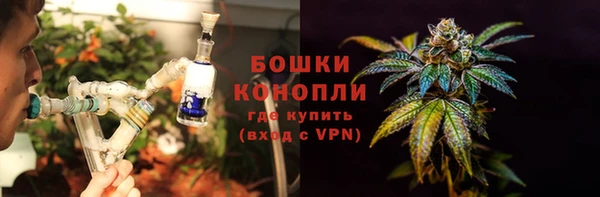 дмт Белокуриха