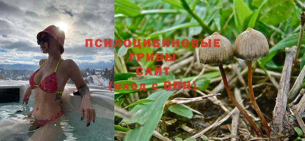 крисы Беломорск