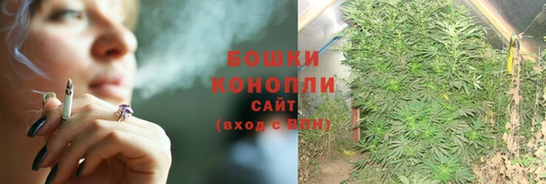 дмт Белокуриха